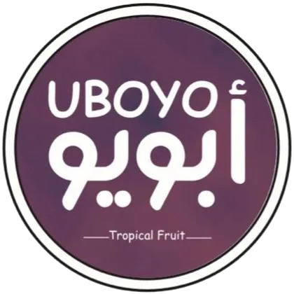 Uboyo Website